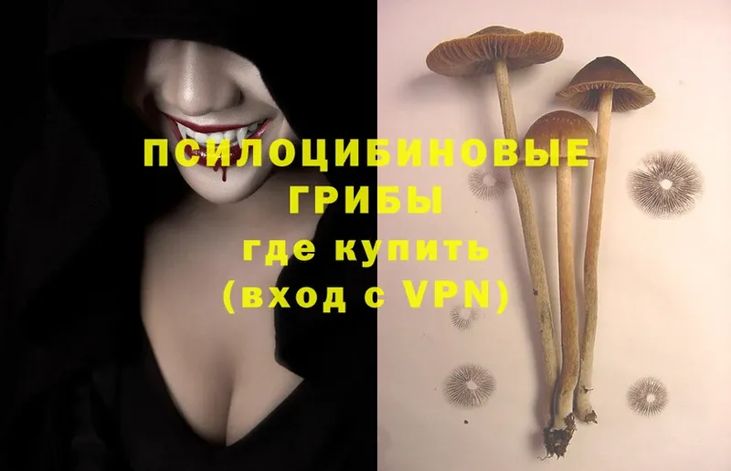 купить наркотик  Остров  Галлюциногенные грибы MAGIC MUSHROOMS 